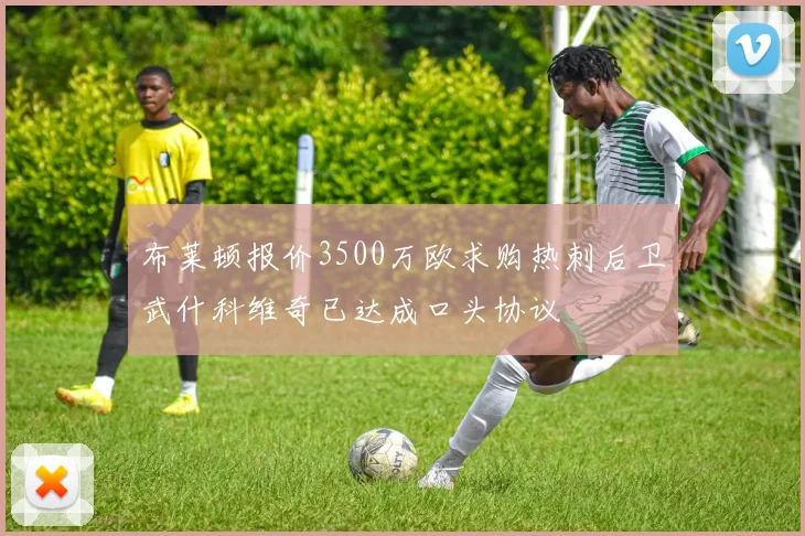 布莱顿报价3500万欧求购热刺后卫武什科维奇已达成口头协议